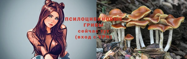 COCAINE Алексеевка