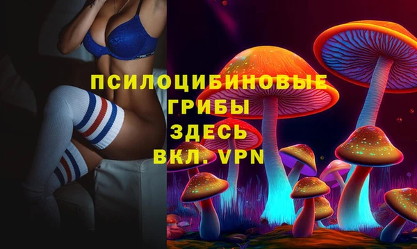 a pvp Алзамай