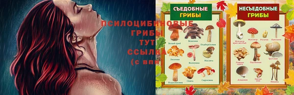 ГАЛЛЮЦИНОГЕННЫЕ ГРИБЫ Алексин