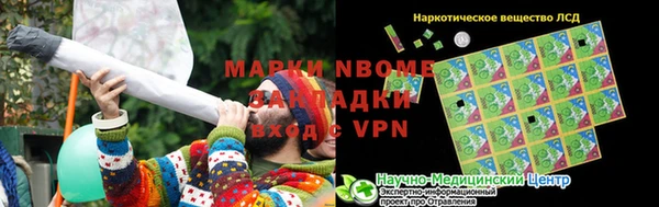 a pvp Алзамай