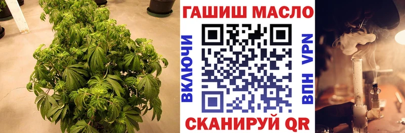 Дистиллят ТГК концентрат  MEGA ссылки  Орёл 